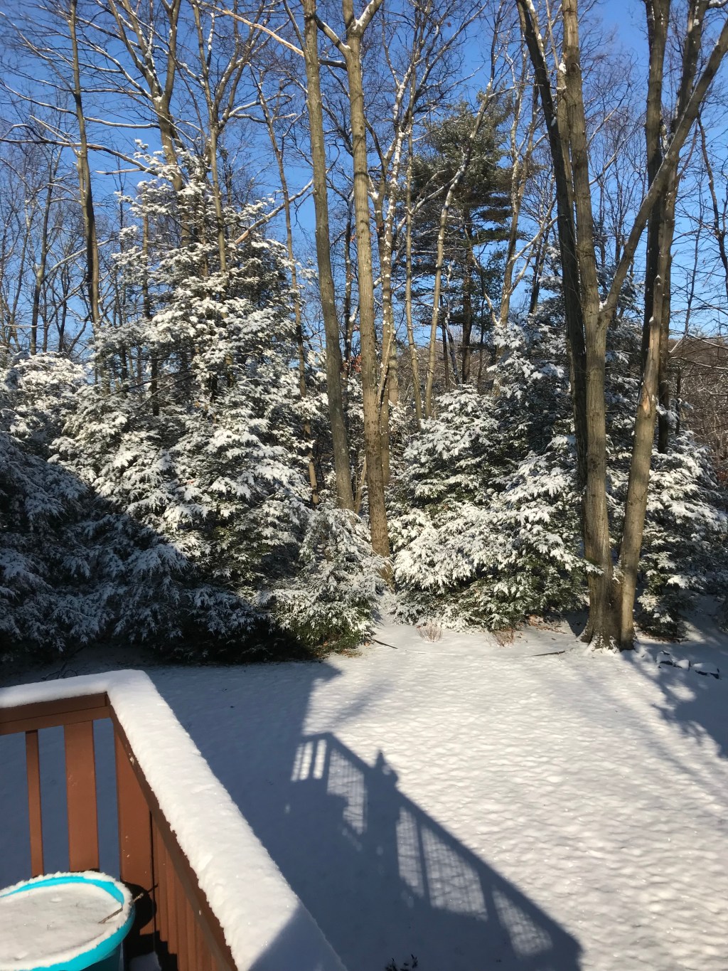 “Snow is falling / it’s a capital&nbsp;C”